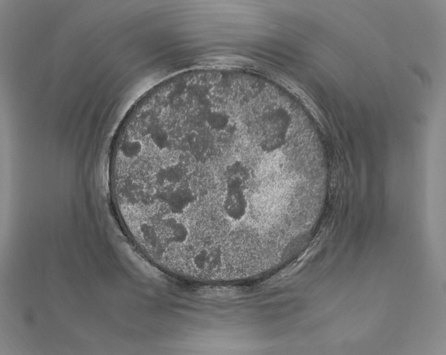 X0000111471083200908241336