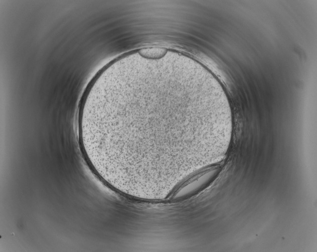 X0000111471084200908241336