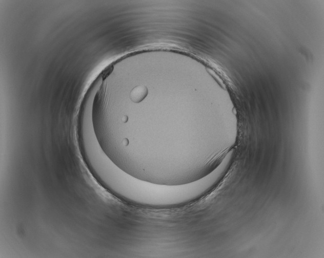 X0000111471086200908241336