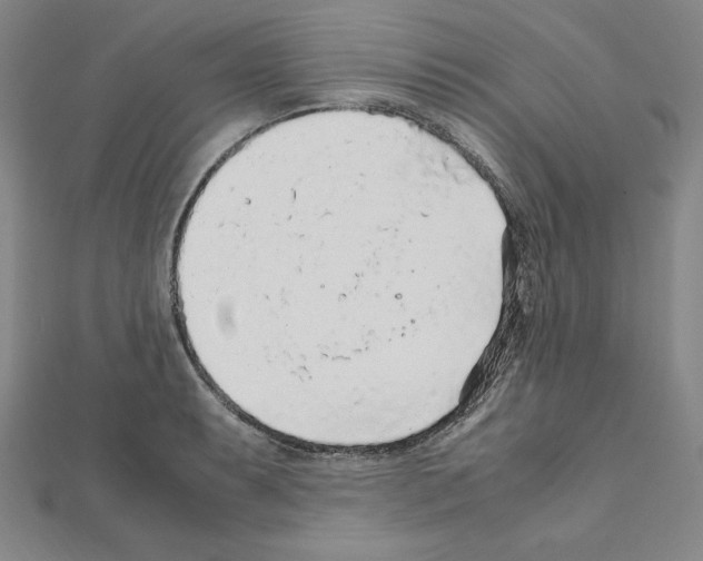 X0000111471087200908241336