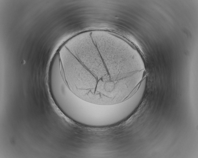 X0000111471088200908241336