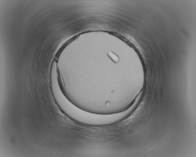 X0000111471089200908241336