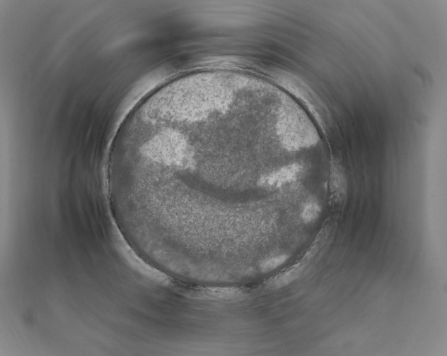 X0000111471090200908241336