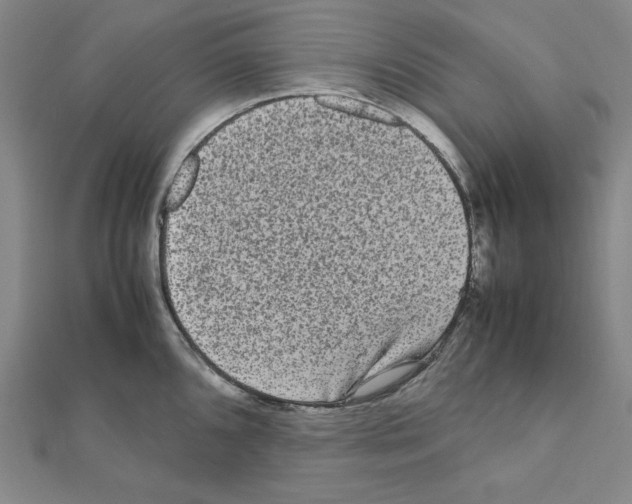 X0000111471096200908241336