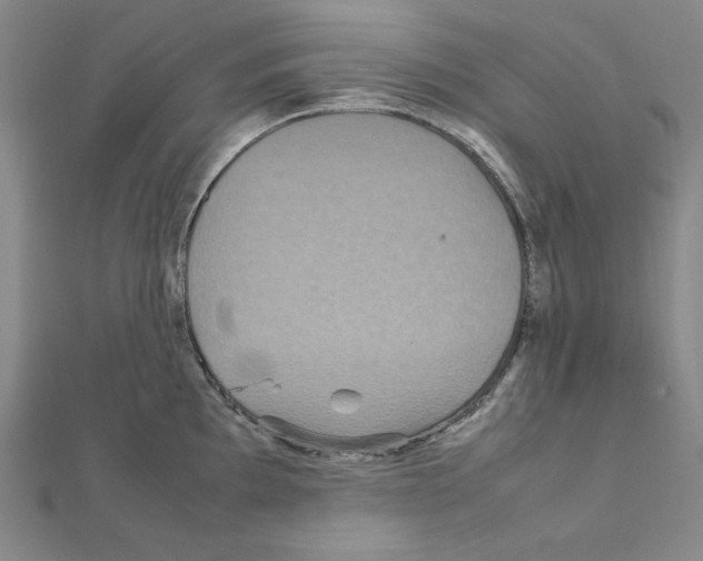 X0000111471097200908241336