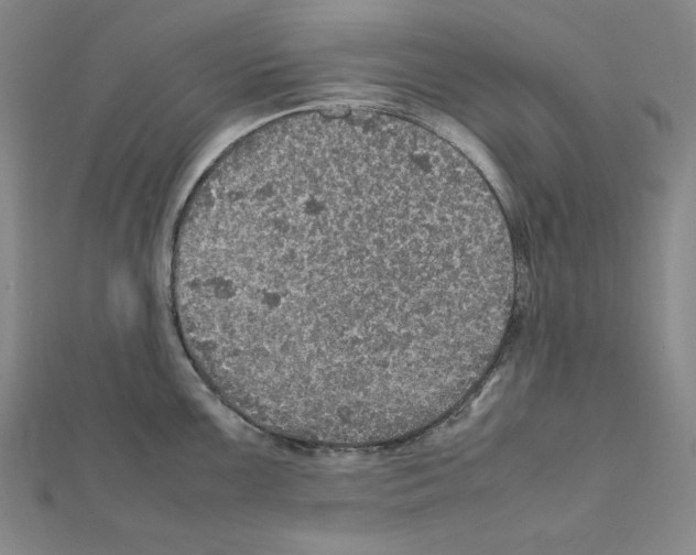 X0000111471099200908241336