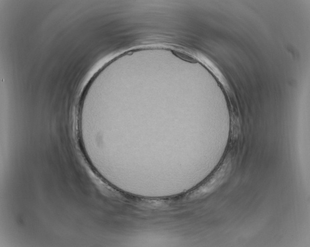 X0000111471101200908241336