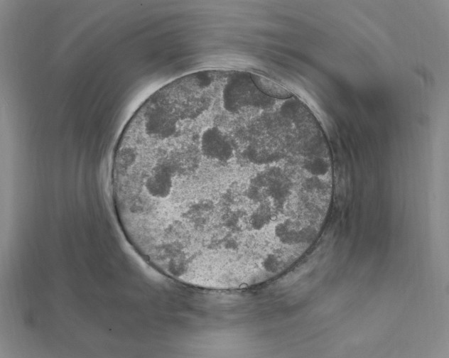 X0000111471103200908241336