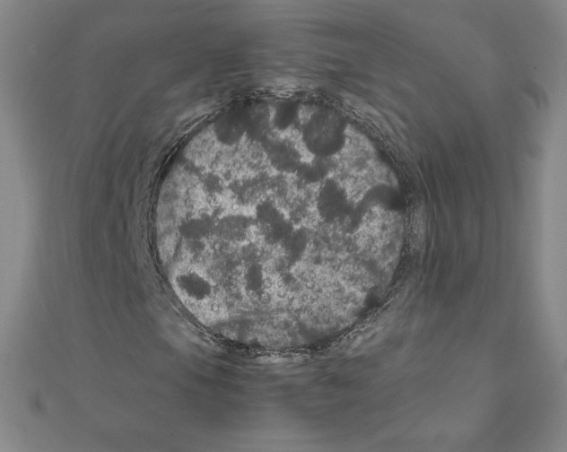 X0000111471105200908241335