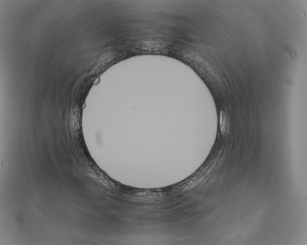 X0000111471107200908241335