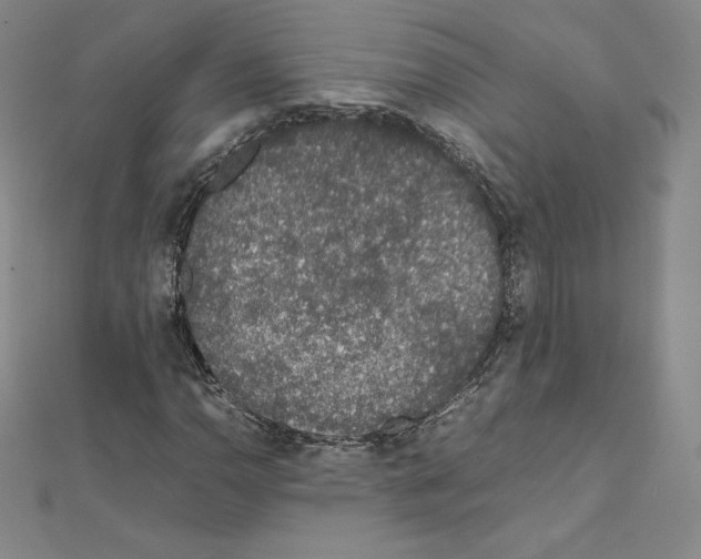 X0000111471110200908241335