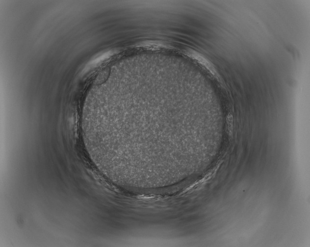 X0000111471111200908241335