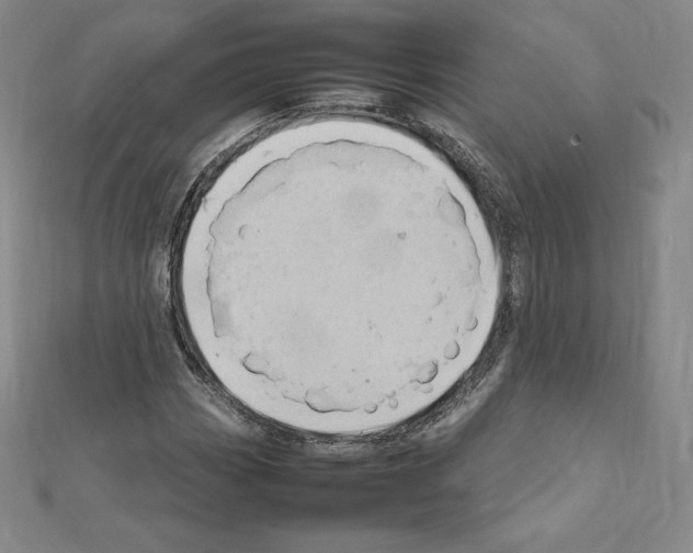 X0000111471113200908241335