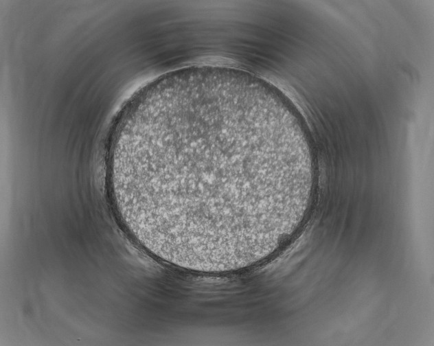 X0000111471115200908241335