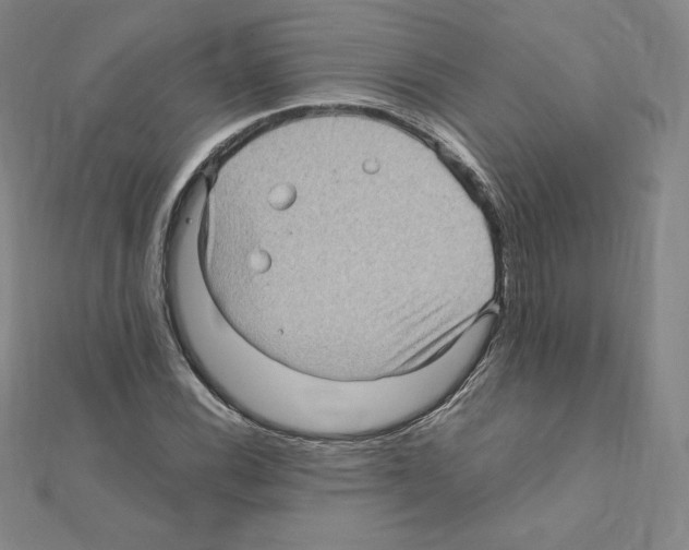 X0000111471116200908241335