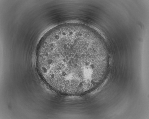 X0000111471117200908241335