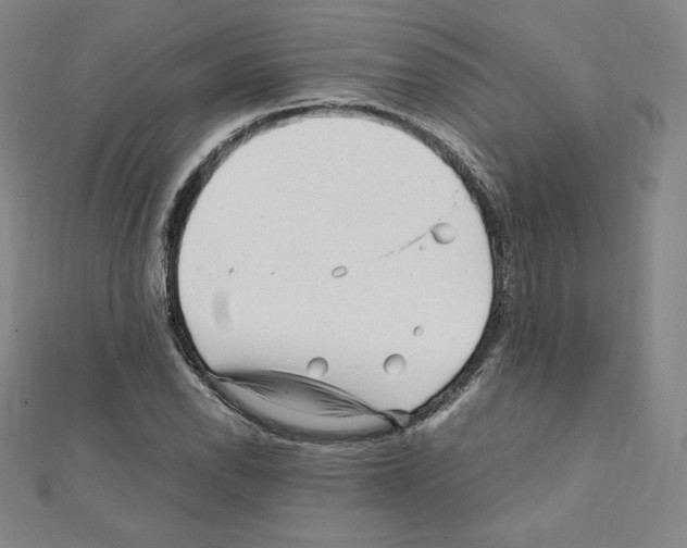 X0000111471118200908241335