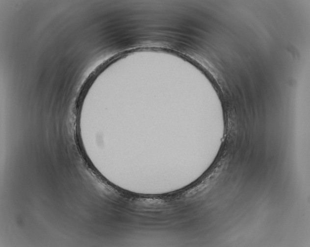 X0000111471119200908241335