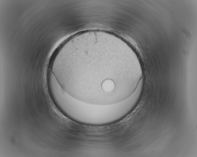 X0000111471120200908241335