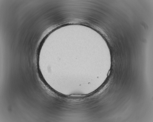 X0000111471122200908241336