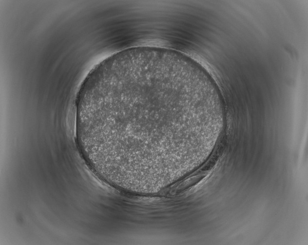 X0000111471123200908241336