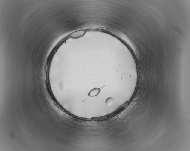 X0000111471124200908241336