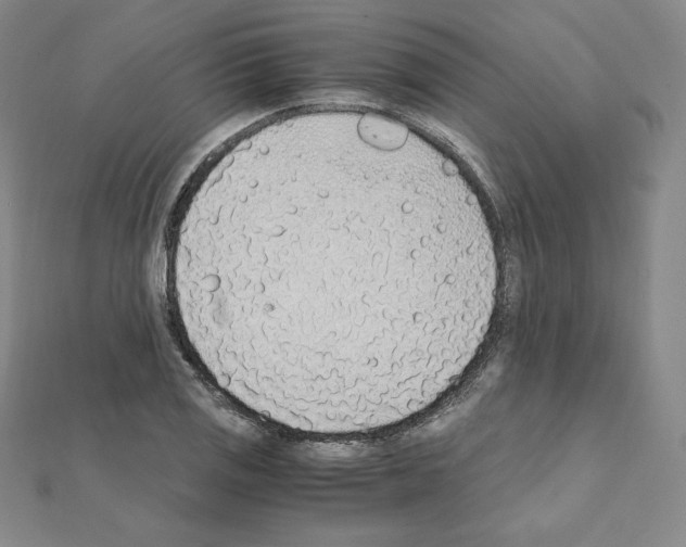 X0000111471125200908241336