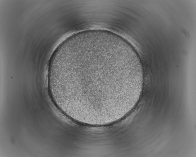 X0000111471126200908241336