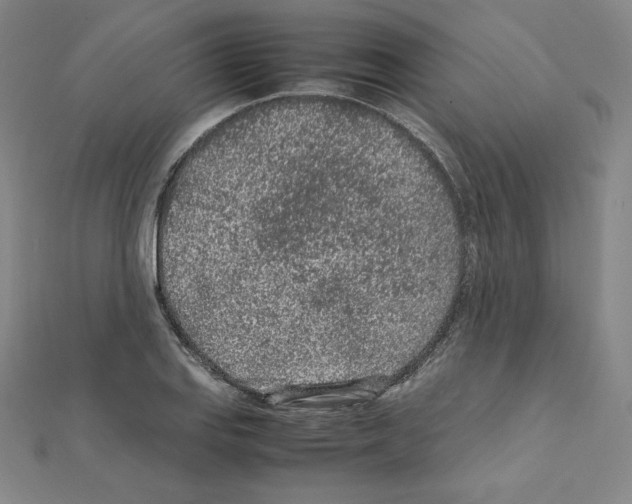 X0000111471127200908241336