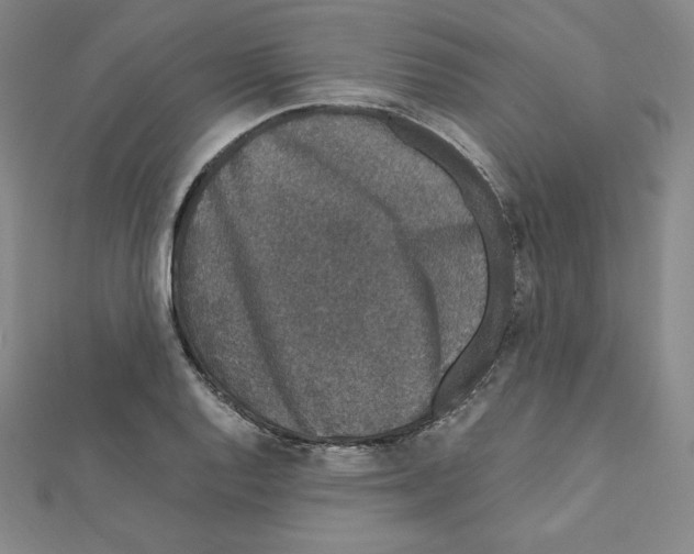 X0000111471128200908241336