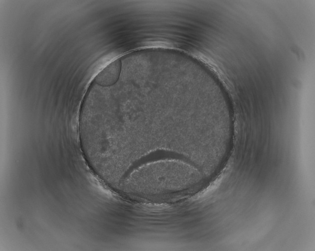 X0000111471129200908241336