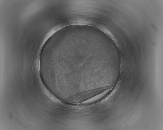 X0000111471130200908241336