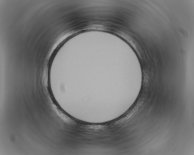 X0000111471131200908241336