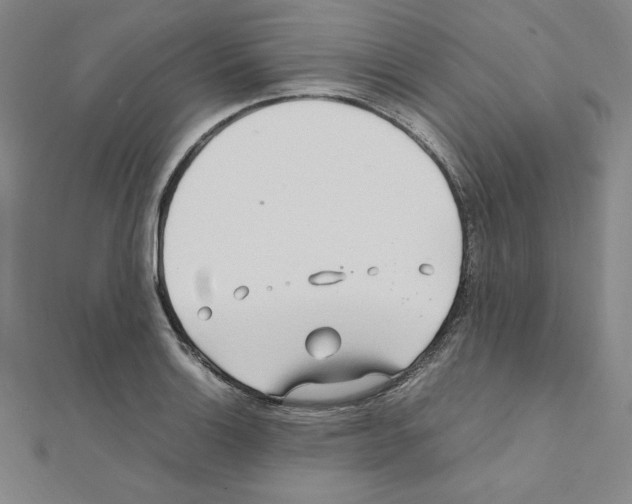 X0000111471132200908241336