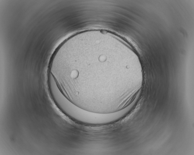 X0000111471134200908241336