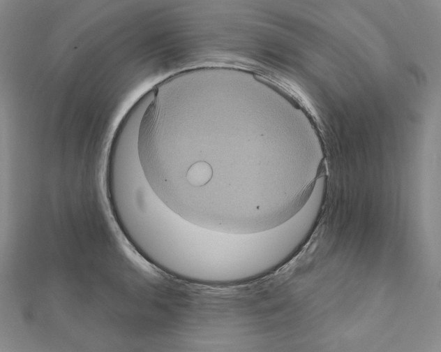 X0000111471136200908241336