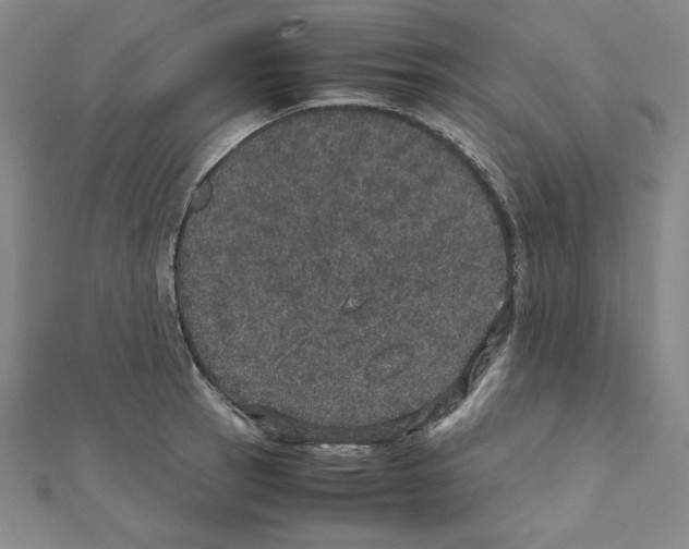 X0000111471137200908241336