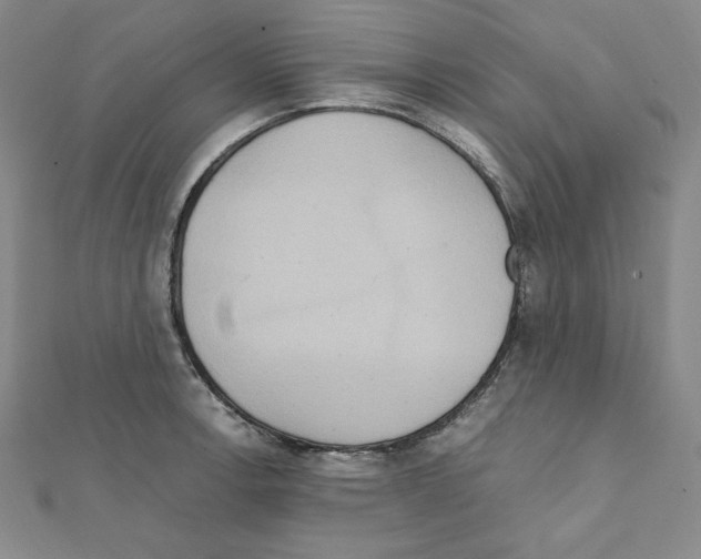 X0000111471138200908241336