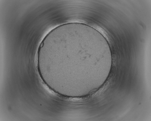 X0000111471140200908241336