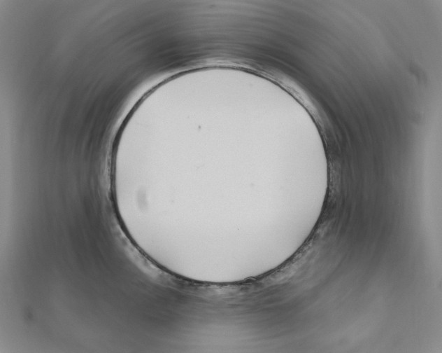 X0000111471148200908241336