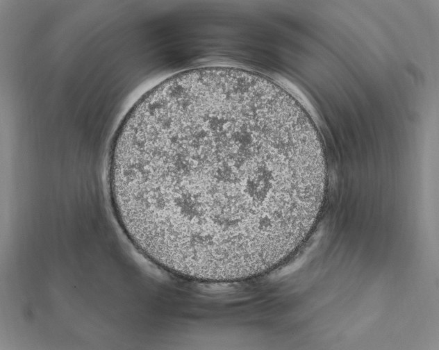 X0000111471149200908241336