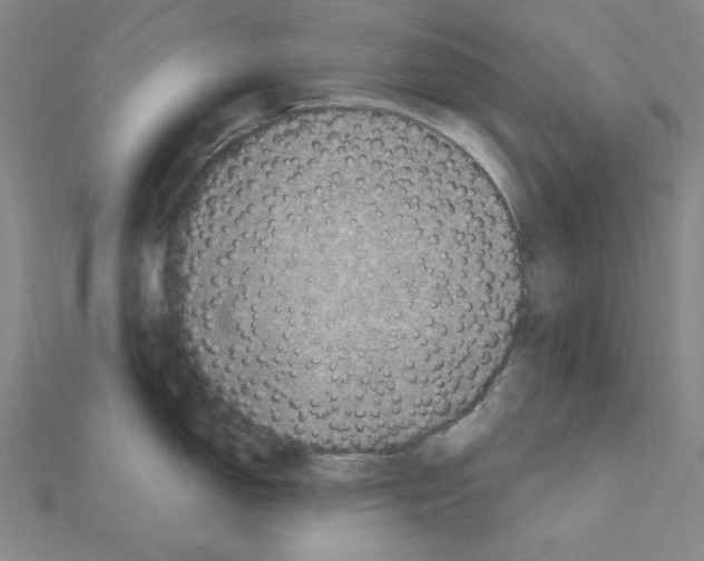 X0000111471150200908241336