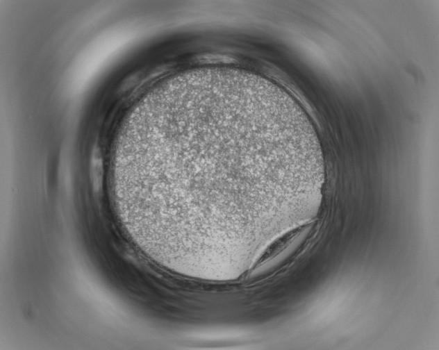 X0000111471151200908241336