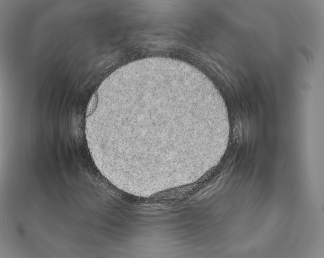 X0000111471156200908241335