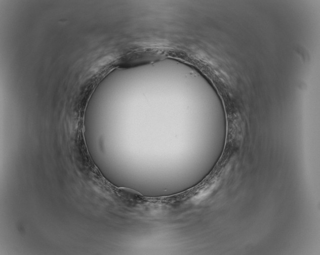 X0000111471157200908241335