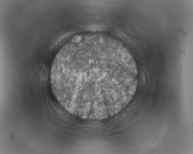 X0000111471158200908241335