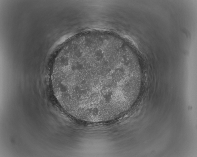 X0000111471159200908241335