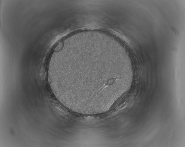 X0000111471160200908241335