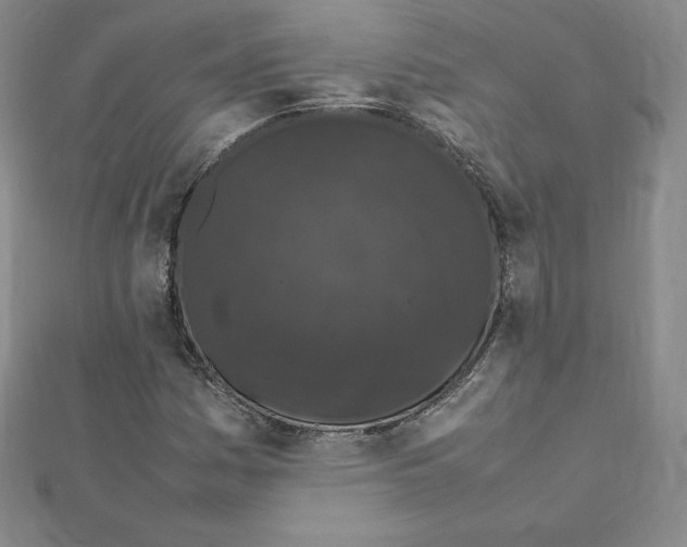 X0000111471161200908241335