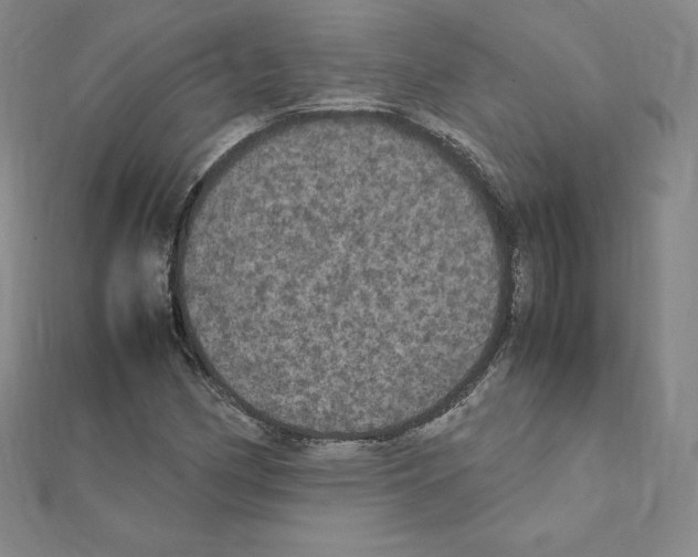 X0000111471162200908241335